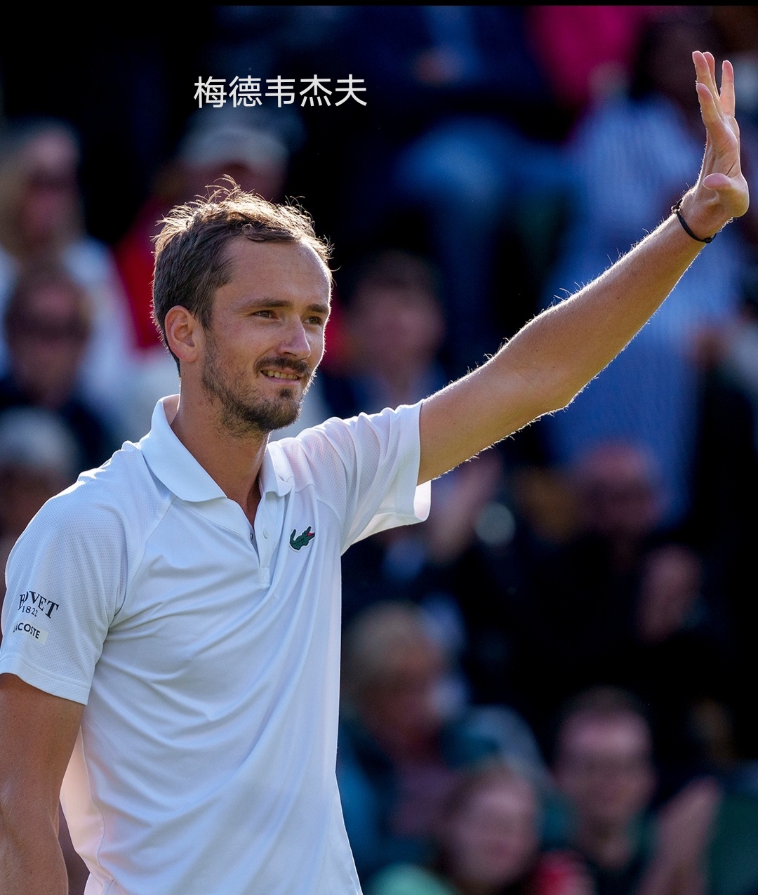 开云体育平台APP-戴维斯杯险胜联合杯，梅德韦杰夫惊艳四座
